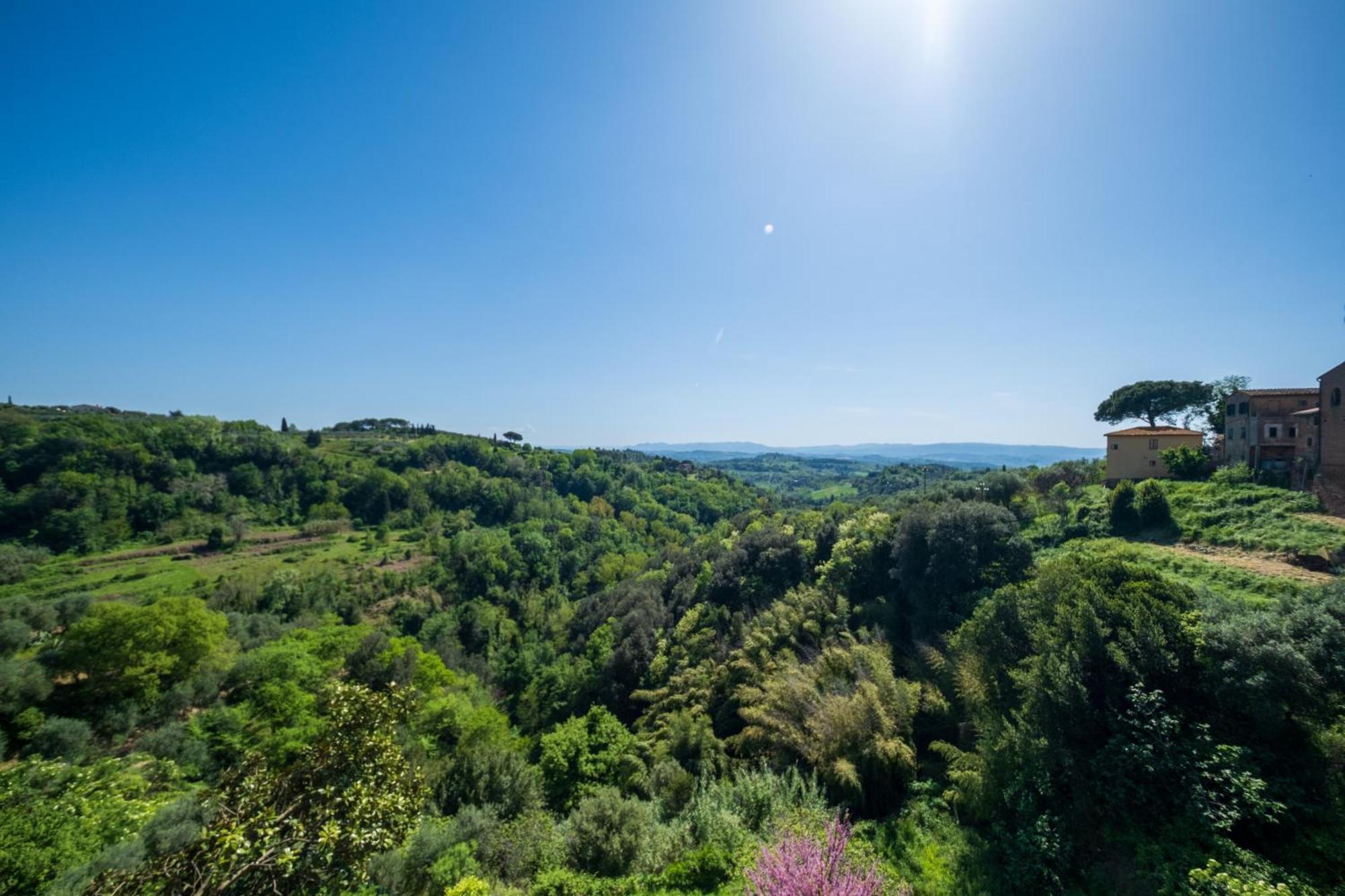 Antica Dimora Leones Bed & Breakfast Palaia Bagian luar foto
